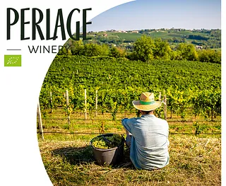 Weingut Perlage