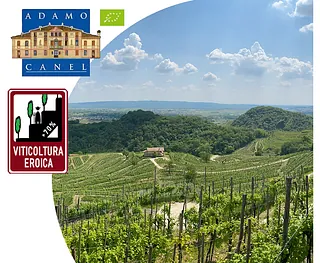 Weingut La Dama